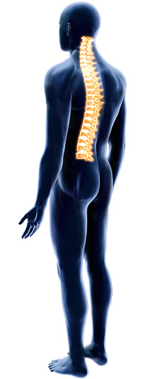 Orthopedic